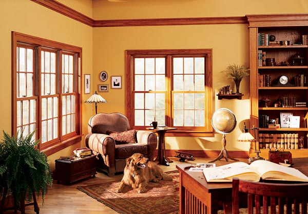 Double Hung Windows For Living Room