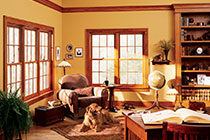 Double Hung Windows