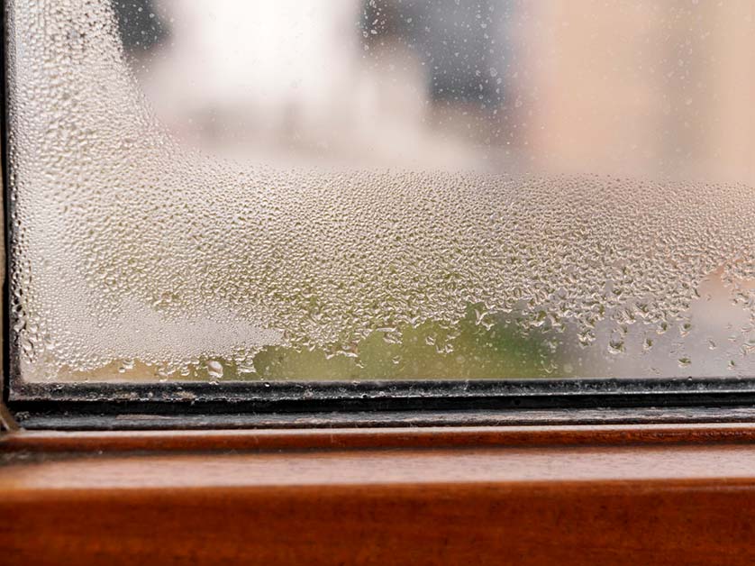 Foggy Windows: Causes and Preventive Measures